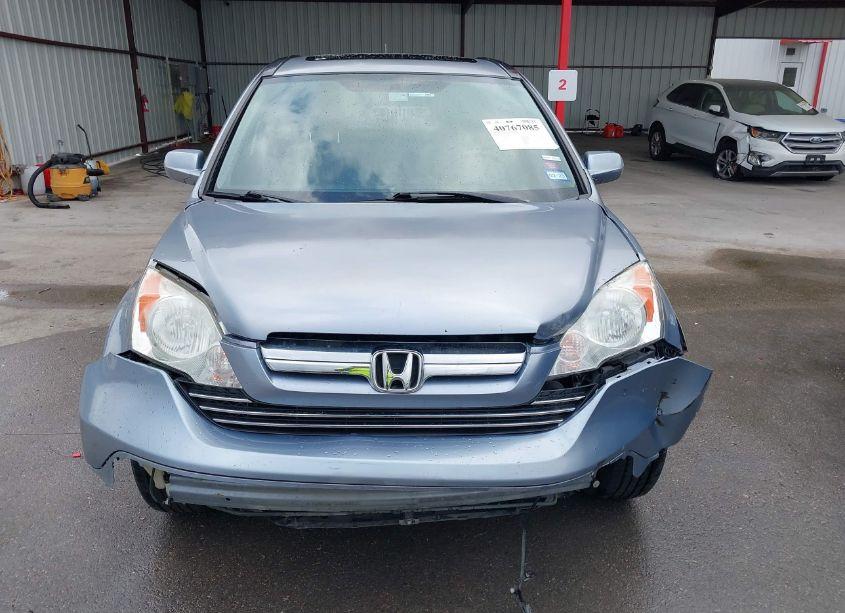 Photo 13 of 2007 Honda Cr-v EX-L (VIN JHLRE38757C047404)