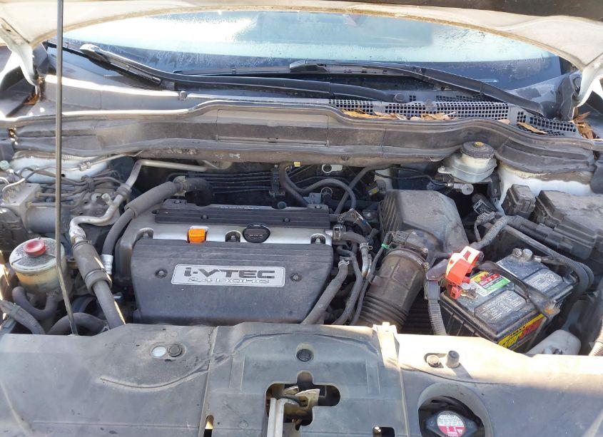 Photo 10 of 2007 Honda Cr-v EX-L (VIN JHLRE38757C065952)