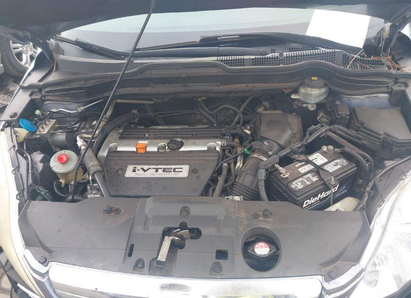 Photo 10 of 2007 Honda Cr-v EX-L (VIN JHLRE38757C080547)