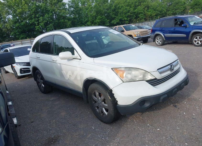 2008 Honda Cr-v EX-L (VIN JHLRE38758C033861) main photo