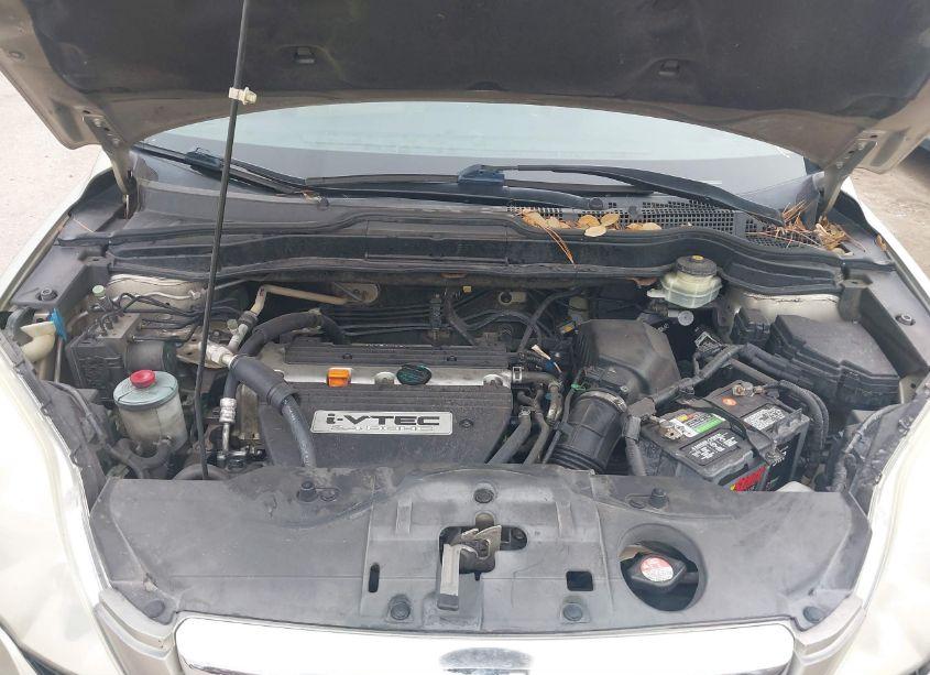 Photo 10 of 2008 Honda Cr-v EX-L (VIN JHLRE38758C054967)