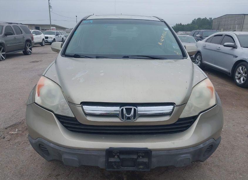 Photo 12 of 2008 Honda Cr-v EX-L (VIN JHLRE38758C054967)