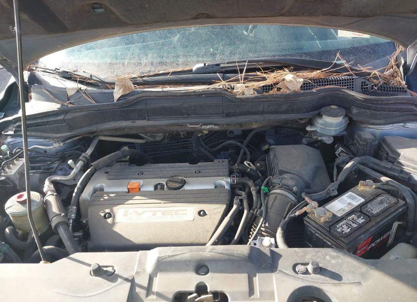 Photo 10 of 2007 Honda Cr-v EX-L (VIN JHLRE38767C051347)