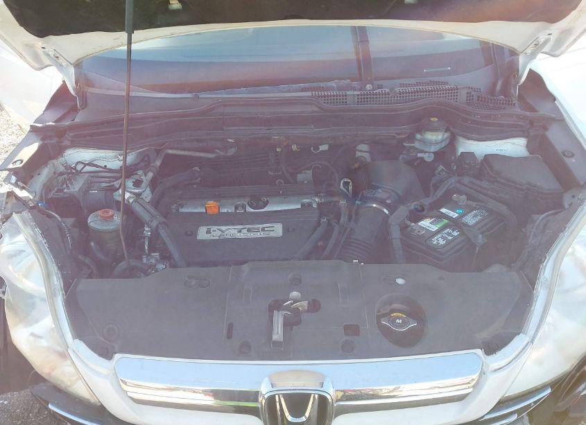 Photo 10 of 2007 Honda Cr-v EX-L (VIN JHLRE38767C066060)