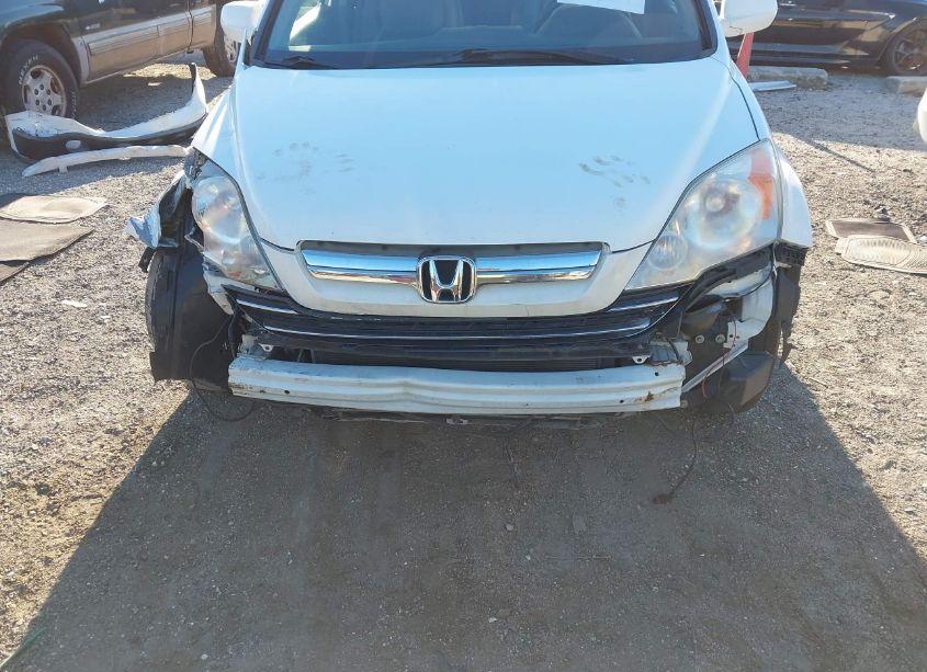 Photo 6 of 2007 Honda Cr-v EX-L (VIN JHLRE38767C066060)