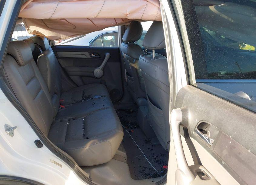 Photo 8 of 2007 Honda Cr-v EX-L (VIN JHLRE38767C066060)