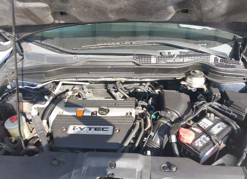 Photo 10 of 2008 Honda Cr-v EX-L (VIN JHLRE38768C019841)