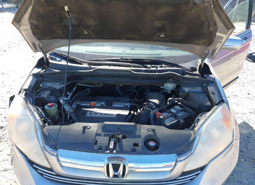 Photo 10 of 2008 Honda Cr-v EX-L (VIN JHLRE38768C026210)