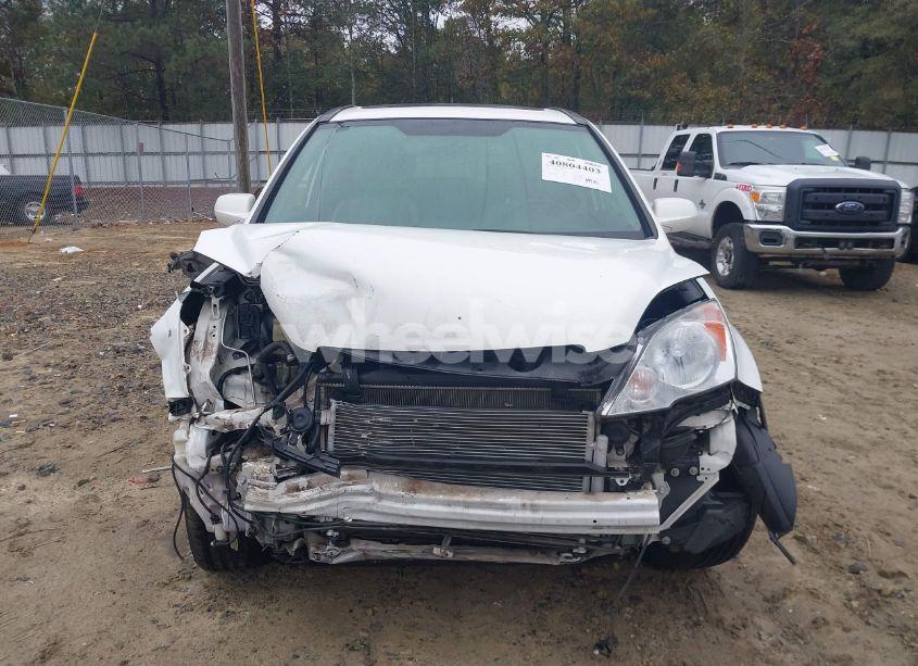 Photo 13 of 2008 Honda Cr-v EX-L (VIN JHLRE38768C032413)