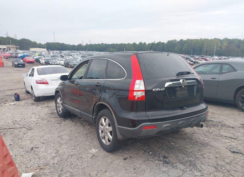 Photo 3 of 2008 Honda Cr-v EX-L (VIN JHLRE38768C051575)