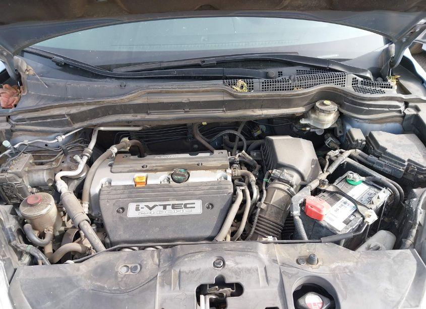 Photo 10 of 2008 Honda Cr-v EX-L (VIN JHLRE38778C055361)