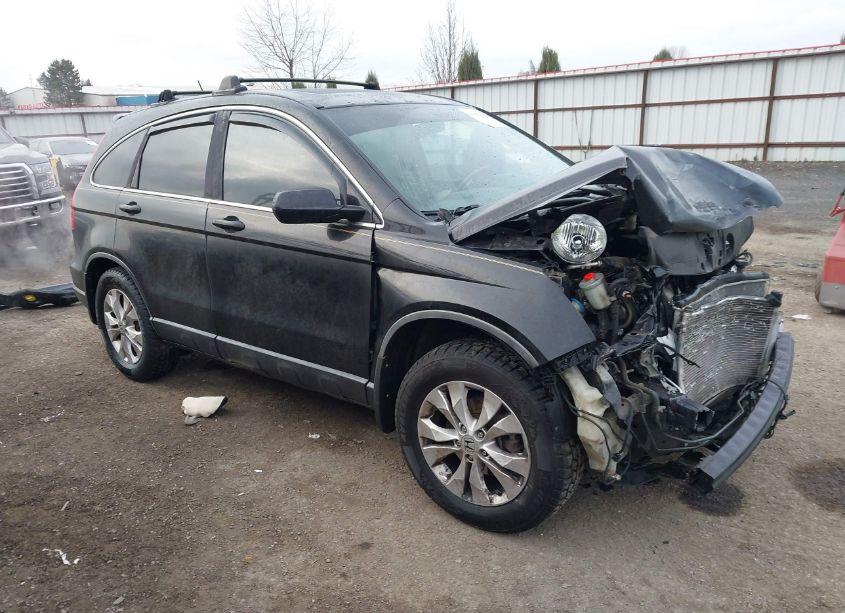 2007 Honda Cr-v EX-L (VIN JHLRE38787C006149) main photo
