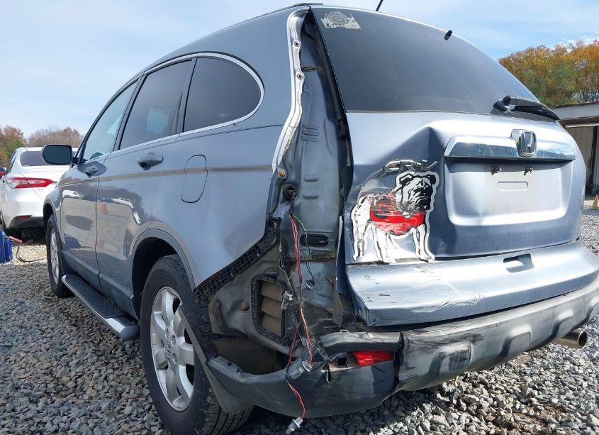 Photo 6 of 2007 Honda Cr-v EX-L (VIN JHLRE38787C011884)