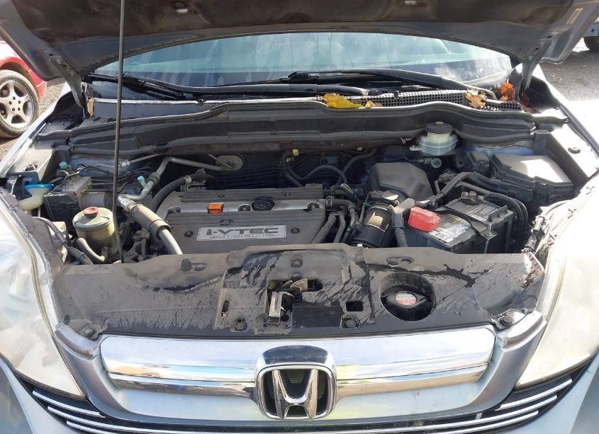 Photo 10 of 2007 Honda Cr-v EX-L (VIN JHLRE38787C070840)