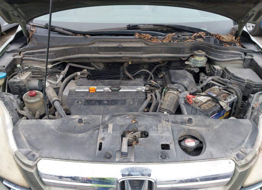 Photo 10 of 2008 Honda Cr-v EX-L (VIN JHLRE38788C052405)
