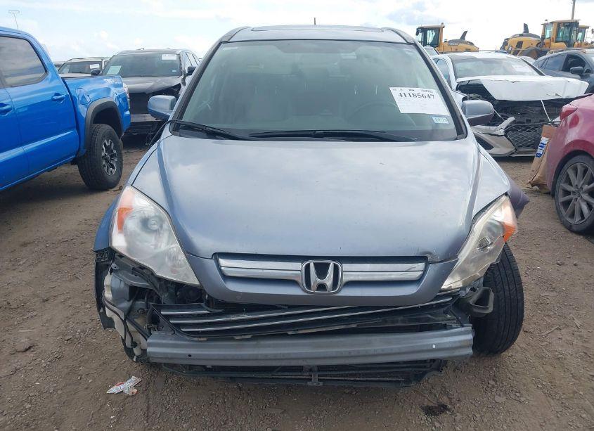 Photo 12 of 2009 Honda Cr-v EX-L (VIN JHLRE38789C007059)