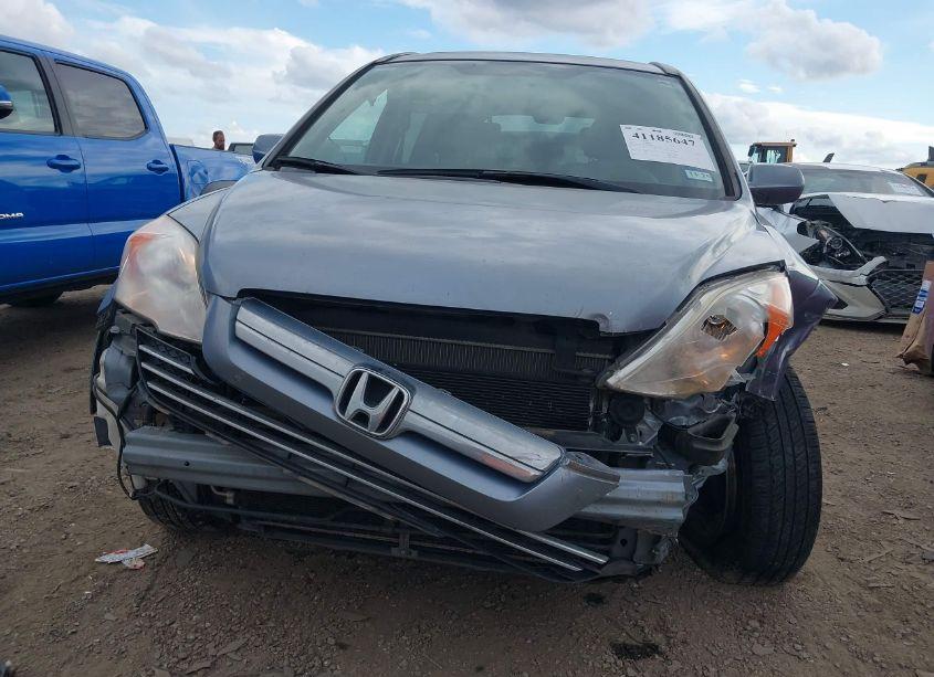 Photo 6 of 2009 Honda Cr-v EX-L (VIN JHLRE38789C007059)