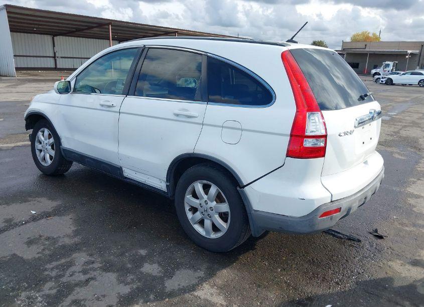 Photo 3 of 2007 Honda Cr-v EX-L (VIN JHLRE38797C009027)