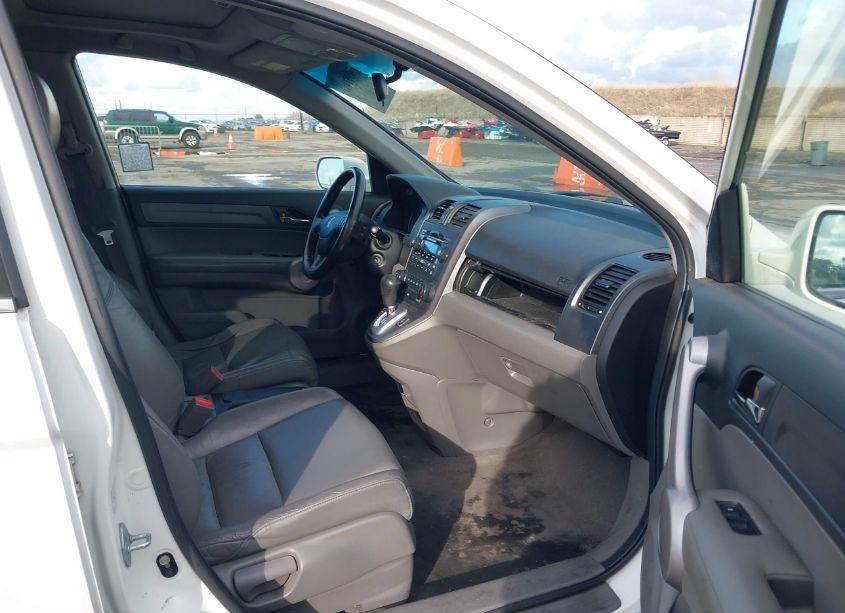 Photo 5 of 2007 Honda Cr-v EX-L (VIN JHLRE38797C009027)