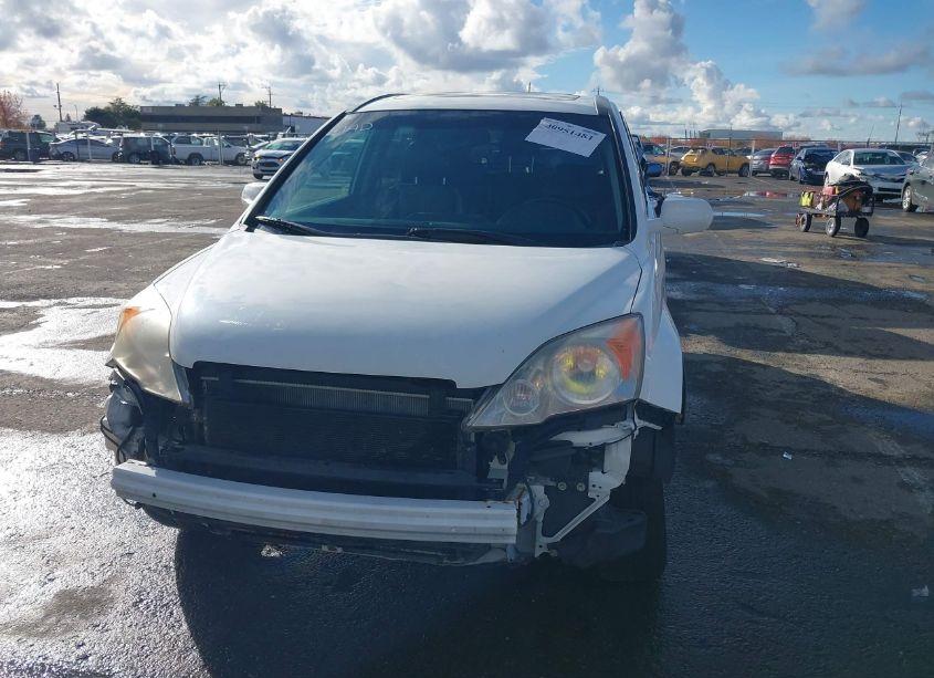 Photo 6 of 2007 Honda Cr-v EX-L (VIN JHLRE38797C009027)