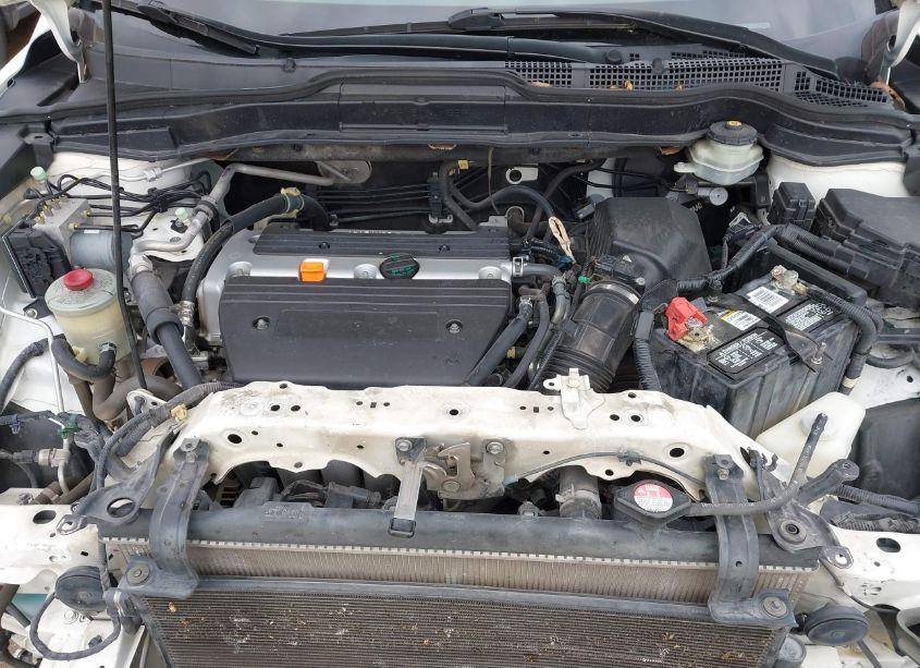Photo 10 of 2008 Honda Cr-v EX-L (VIN JHLRE38798C030753)
