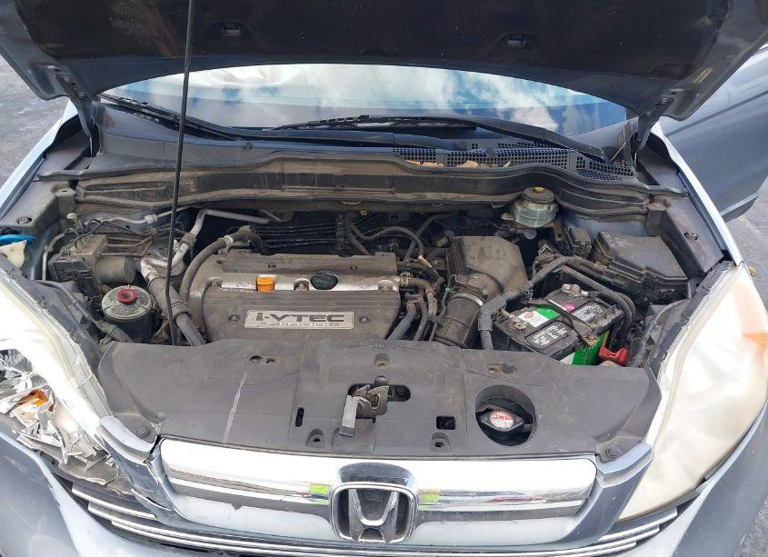 Photo 10 of 2008 Honda Cr-v EX-L (VIN JHLRE38798C045088)