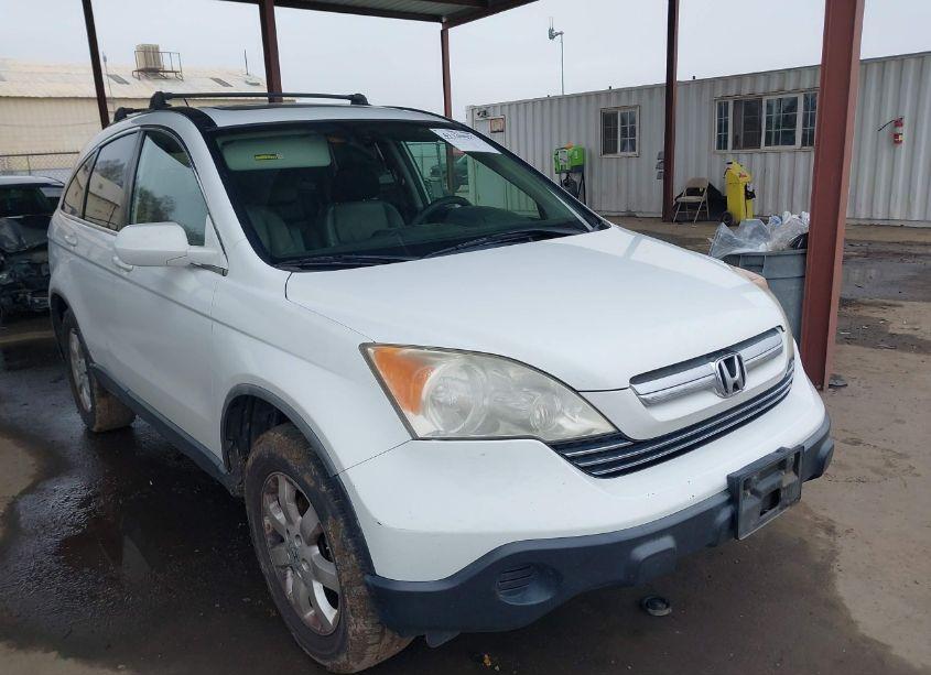 2008 Honda Cr-v EX-L (VIN JHLRE38798C049996) main photo