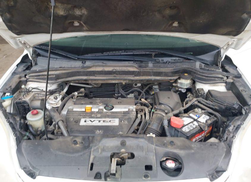 Photo 10 of 2008 Honda Cr-v EX-L (VIN JHLRE38798C049996)