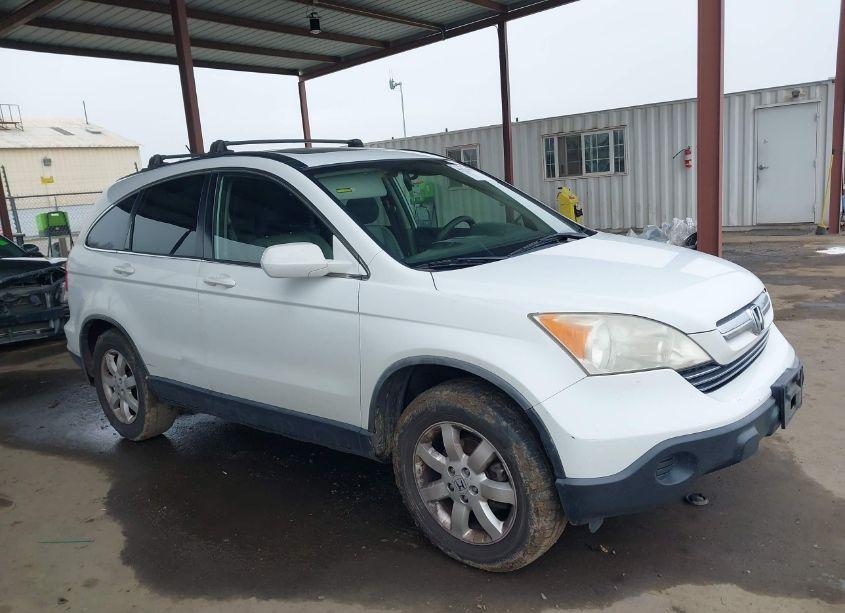 Photo 13 of 2008 Honda Cr-v EX-L (VIN JHLRE38798C049996)