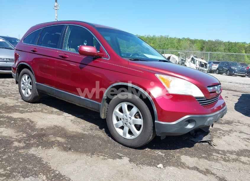 2008 Honda Cr-v EX-L (VIN JHLRE38798C051070) main photo