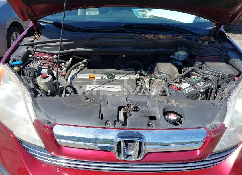 Photo 10 of 2008 Honda Cr-v EX-L (VIN JHLRE38798C051070)