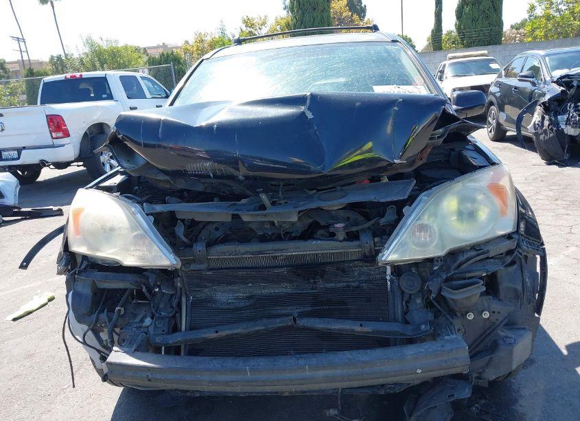 Photo 12 of 2007 Honda Cr-v EX-L (VIN JHLRE387X7C033174)