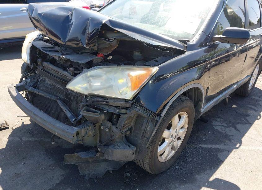 Photo 6 of 2007 Honda Cr-v EX-L (VIN JHLRE387X7C033174)