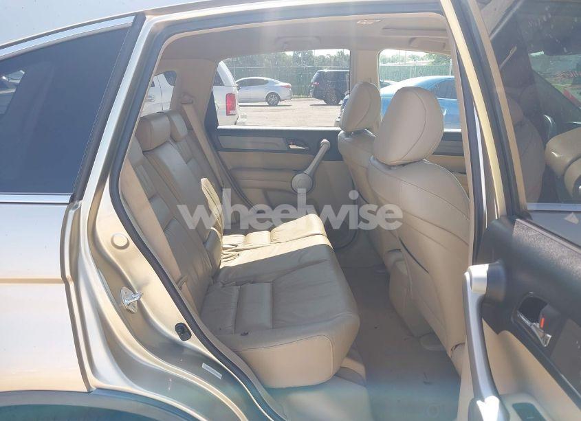 Photo 8 of 2007 Honda Cr-v EX-L (VIN JHLRE387X7C038133)