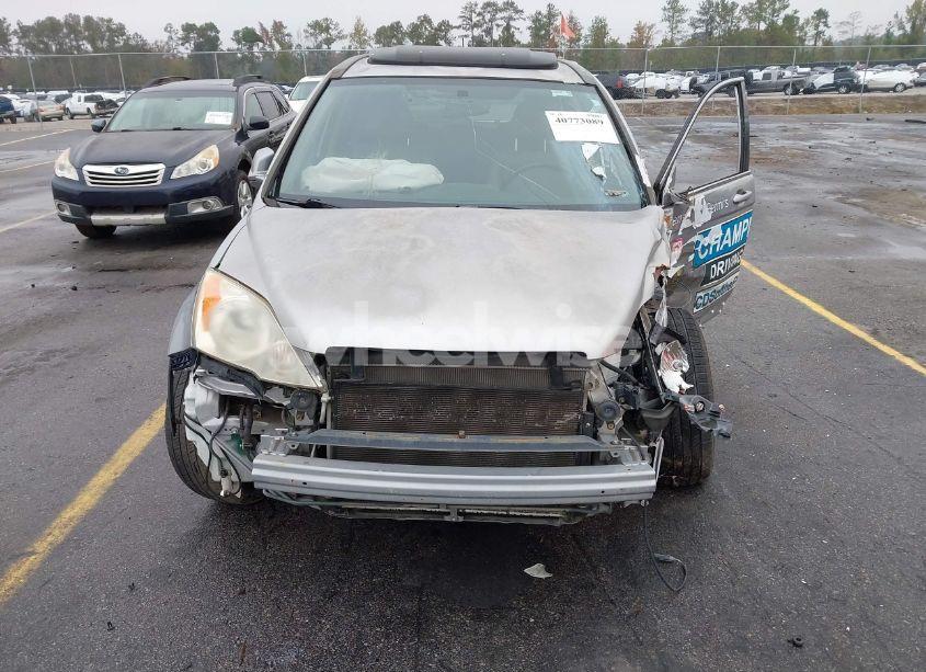 Photo 13 of 2007 Honda Cr-v EX-L (VIN JHLRE387X7C039895)