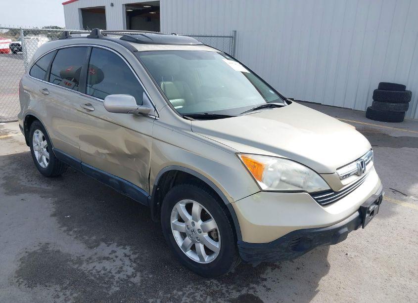 2008 Honda Cr-v EX-L (VIN JHLRE387X8C034617) main photo