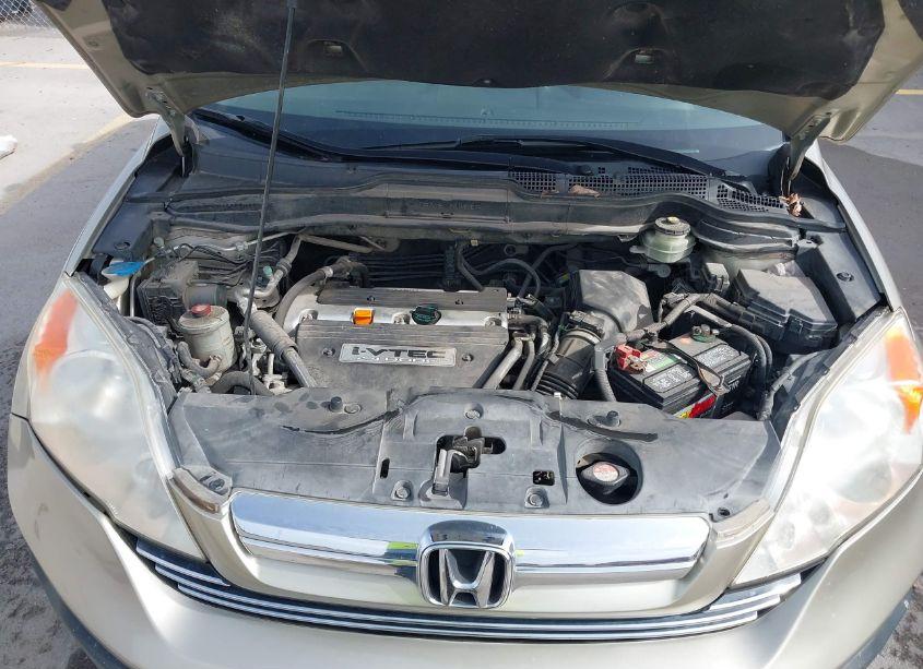 Photo 10 of 2008 Honda Cr-v EX-L (VIN JHLRE387X8C034617)