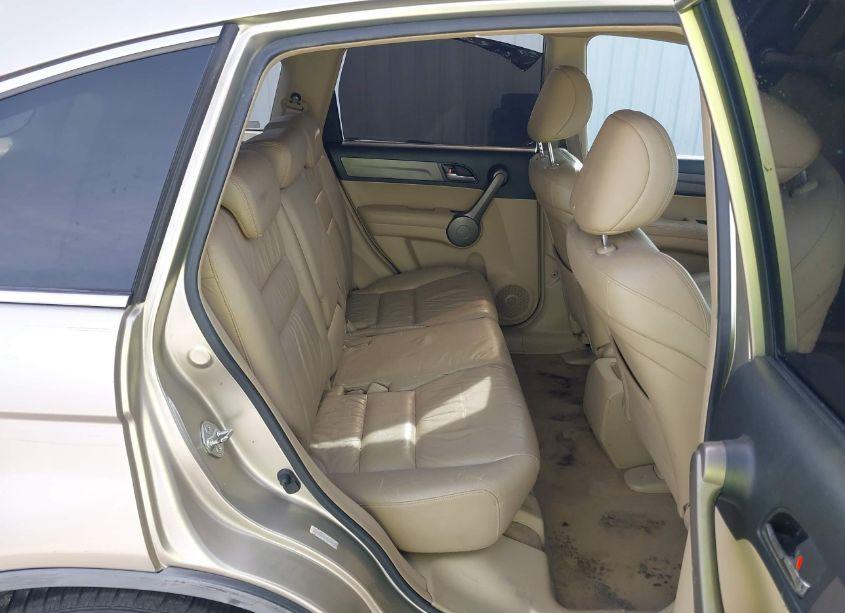Photo 8 of 2008 Honda Cr-v EX-L (VIN JHLRE387X8C034617)