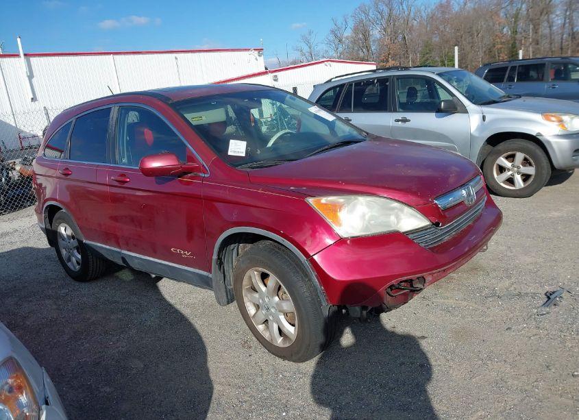 2008 Honda Cr-v EX-L (VIN JHLRE387X8C042989) main photo