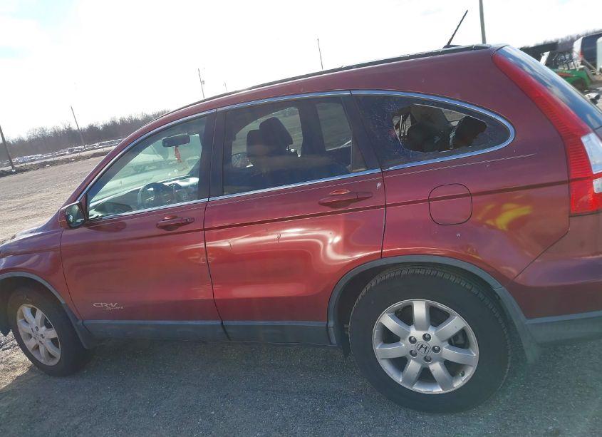Photo 13 of 2008 Honda Cr-v EX-L (VIN JHLRE387X8C042989)