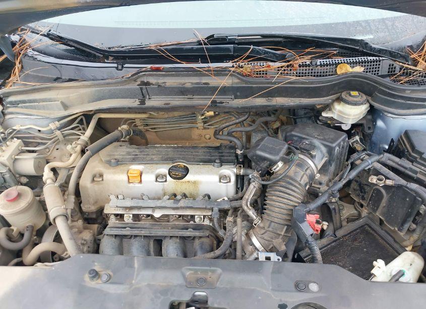 Photo 10 of 2010 Honda Cr-v LX (VIN JHLRE3H3XAC009445)