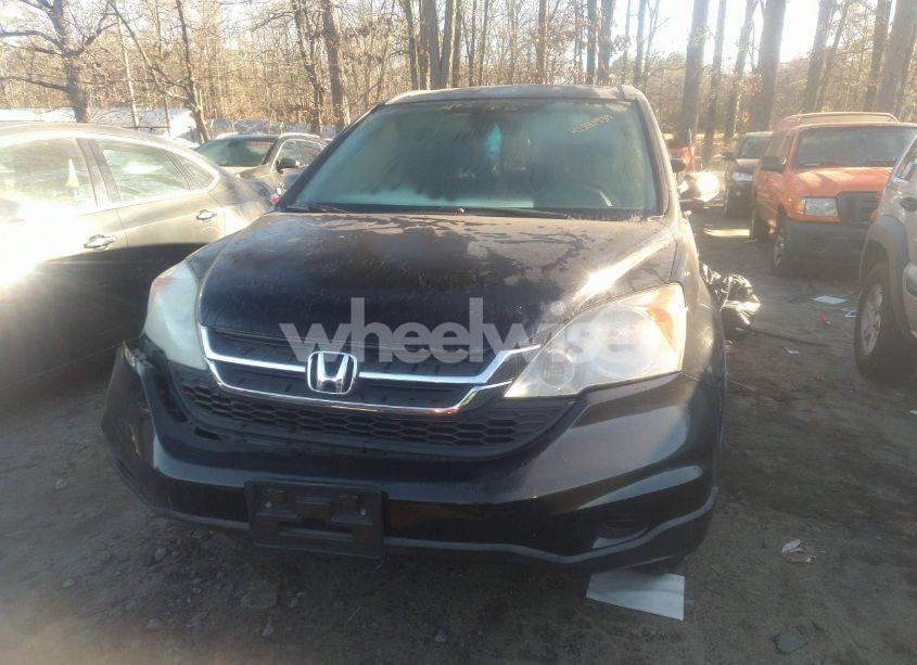 Photo 12 of 2011 Honda Cr-v SE (VIN JHLRE3H41BC011935)