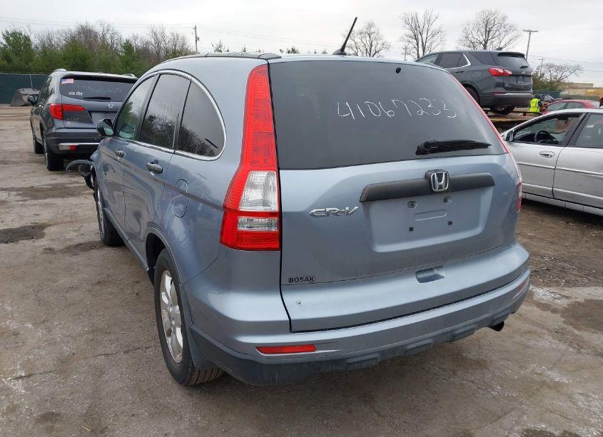 Photo 3 of 2011 Honda Cr-v SE (VIN JHLRE3H47BC003774)
