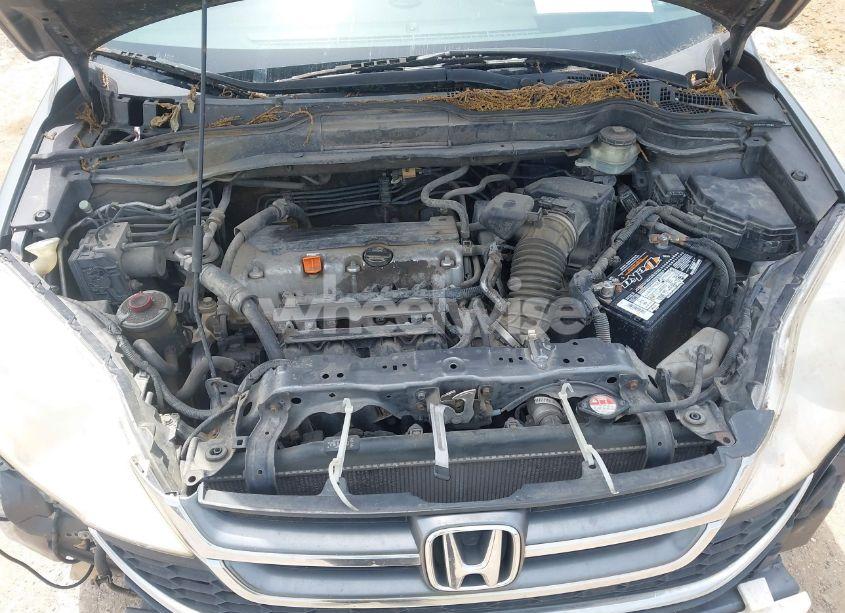 Photo 10 of 2010 Honda Cr-v EX-L (VIN JHLRE3H73AC007099)