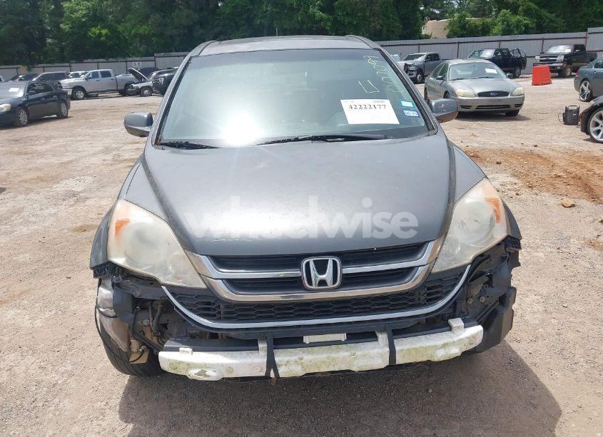 Photo 12 of 2010 Honda Cr-v EX-L (VIN JHLRE3H73AC007099)