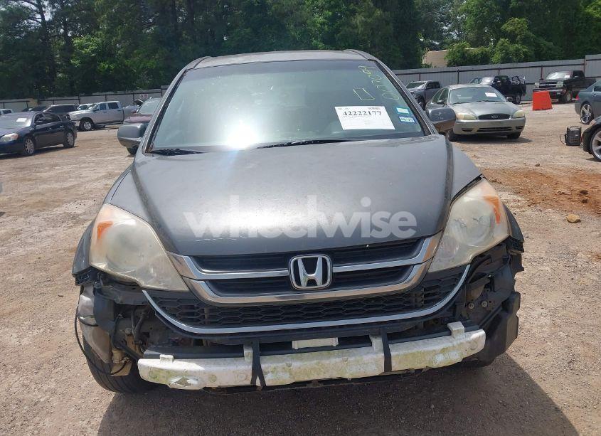 Photo 6 of 2010 Honda Cr-v EX-L (VIN JHLRE3H73AC007099)