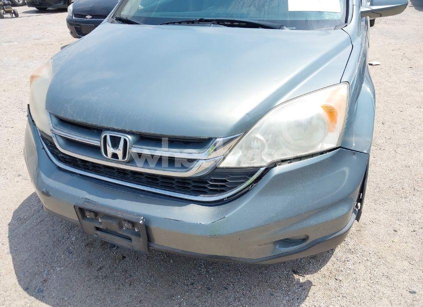 Photo 6 of 2010 Honda Cr-v EX-L (VIN JHLRE3H75AC005063)