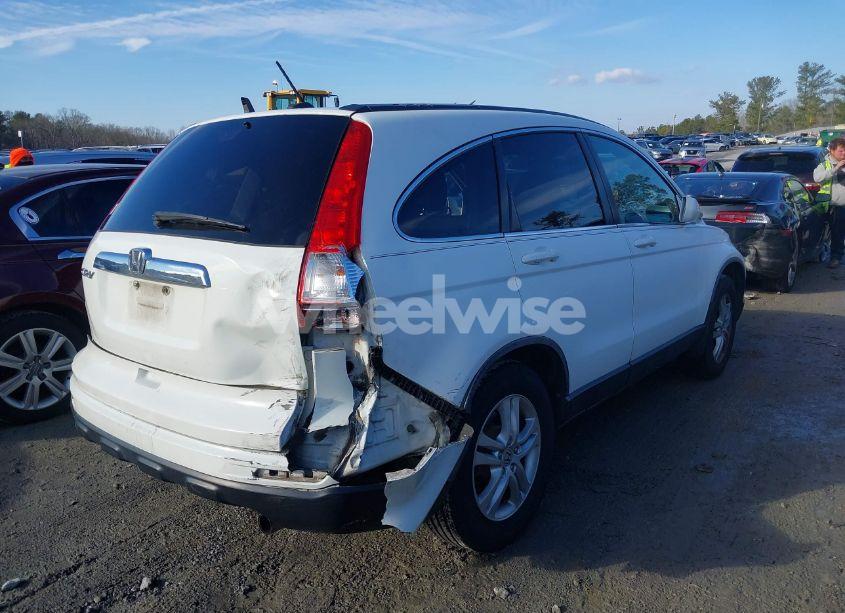 Photo 4 of 2010 Honda Cr-v EX-L (VIN JHLRE3H75AC009985)