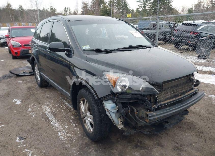 2009 Honda Cr-v LX (VIN JHLRE48329C019856) main photo