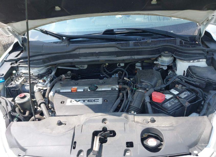 Photo 10 of 2009 Honda Cr-v LX (VIN JHLRE48359C021987)